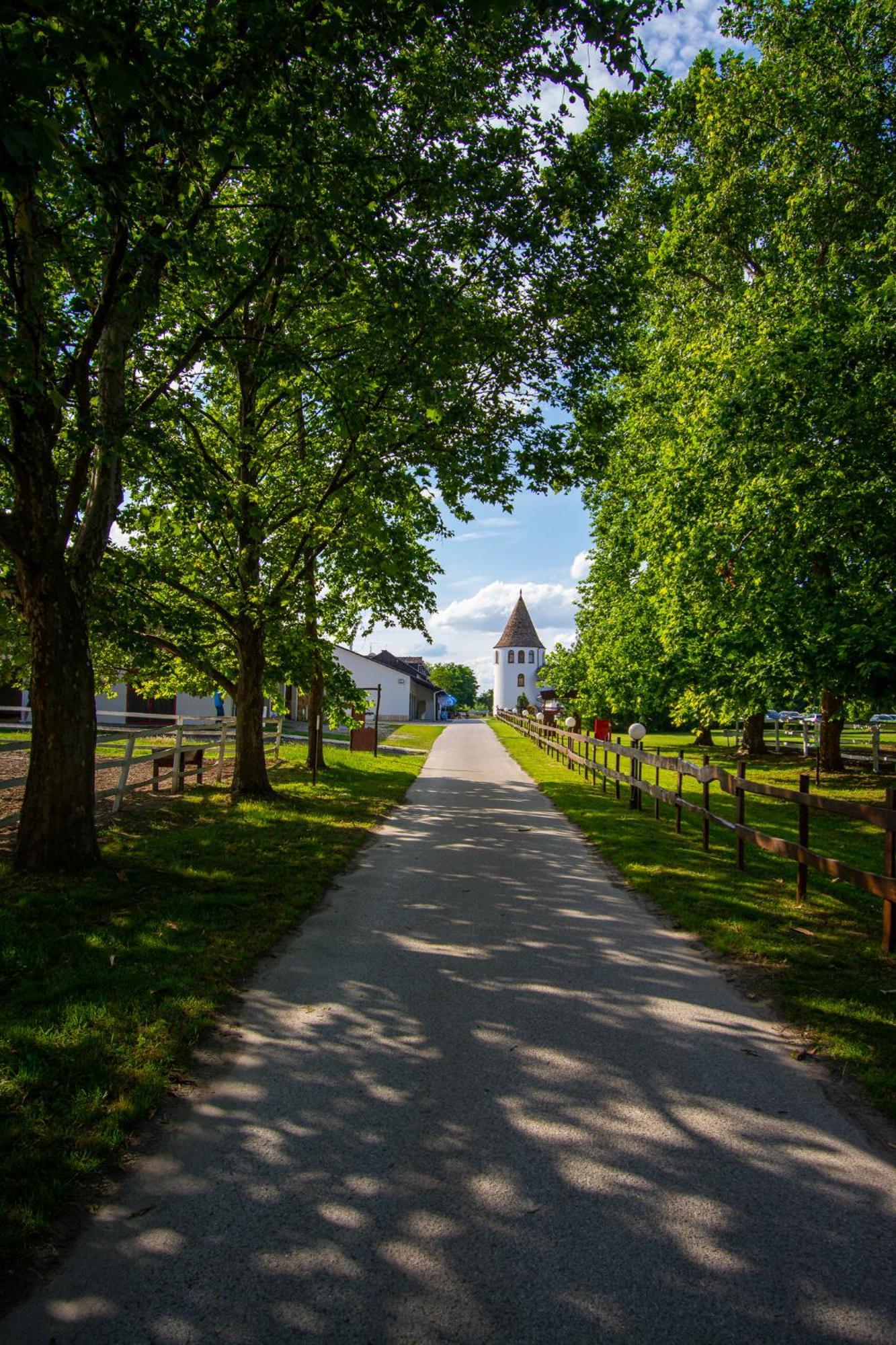 Hotel Villa Majur Subotica Exteriör bild