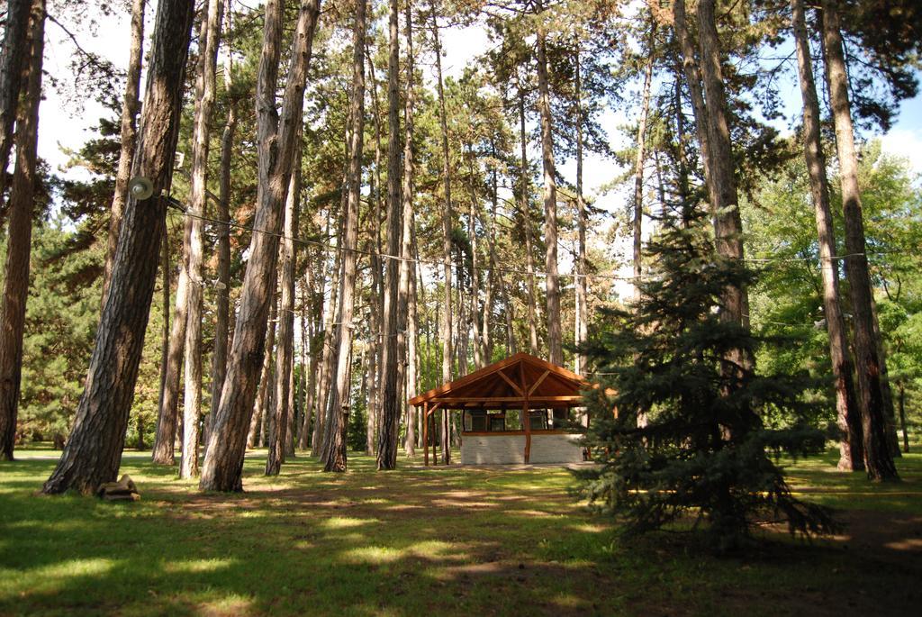 Hotel Villa Majur Subotica Exteriör bild